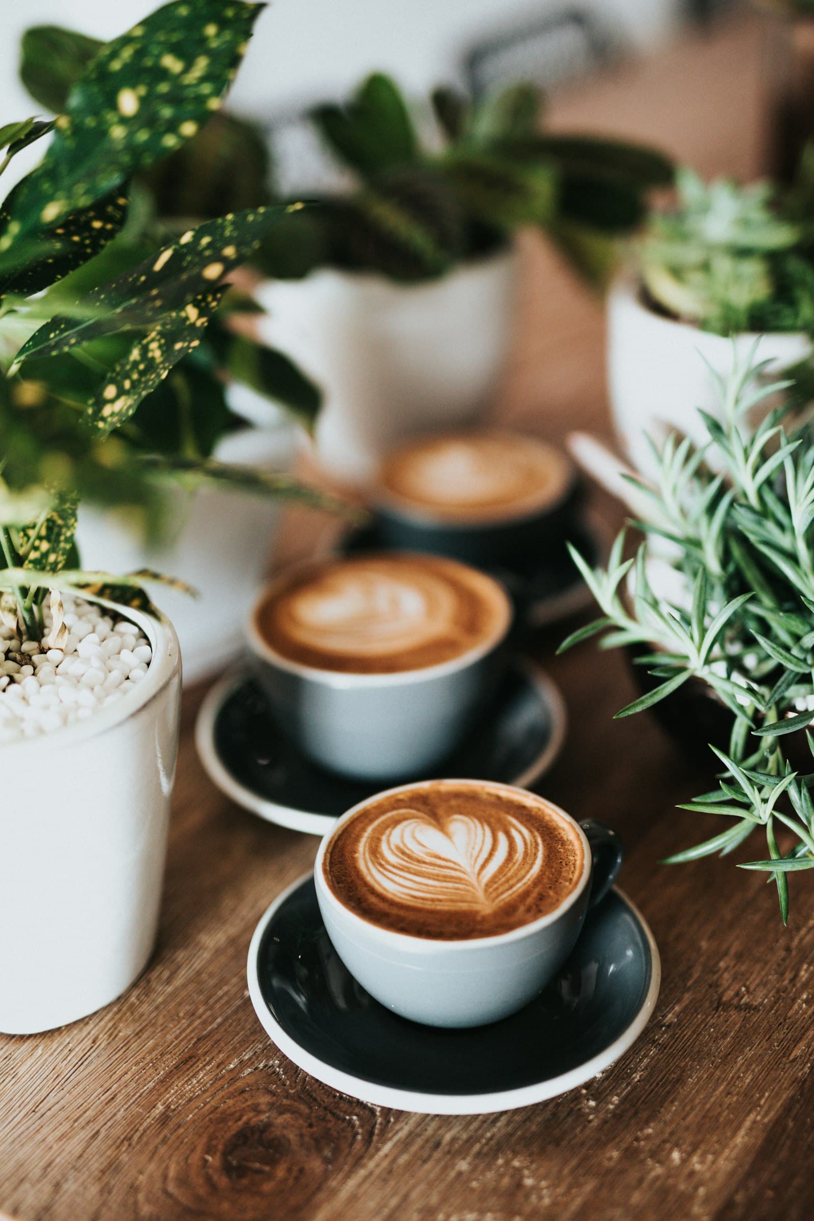 Two flat whites with latte art among indoor plants on a walnut table